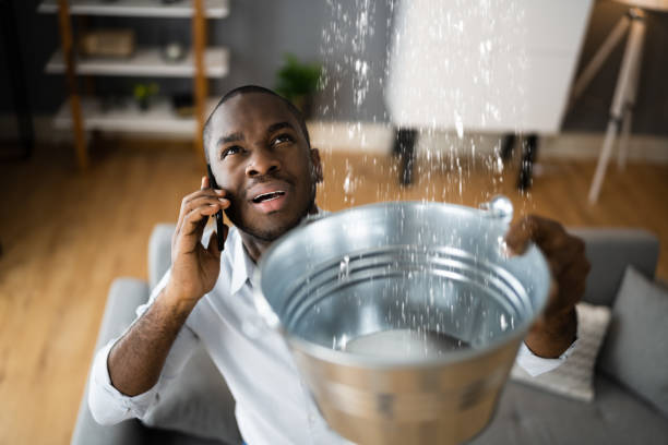 Best Ceiling water damage repair  in Belleville, WI