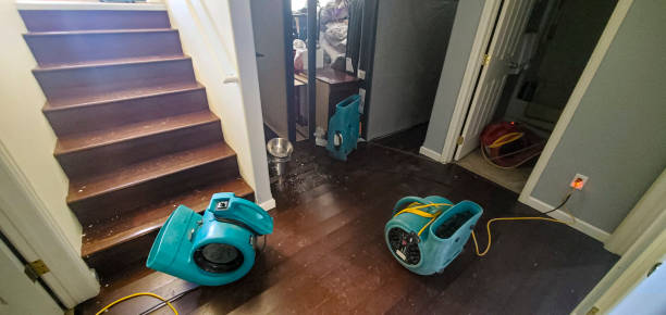 Best Fire Damage Restoration  in Belleville, WI