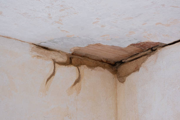 Best Emergency water damage restoration  in Belleville, WI