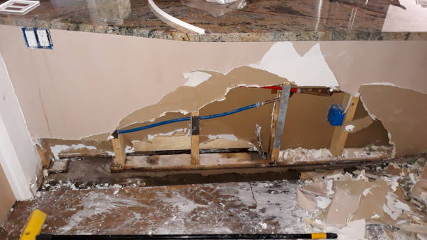 Best Flooded house restoration  in Belleville, WI