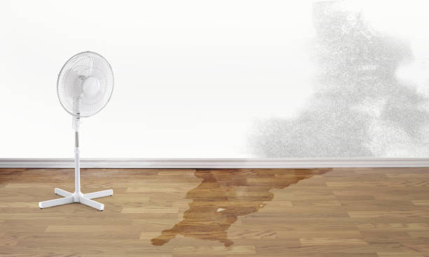 Best 24/7 water damage repair  in Belleville, WI