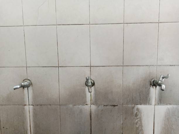 Best Water damage cleanup near me  in Belleville, WI