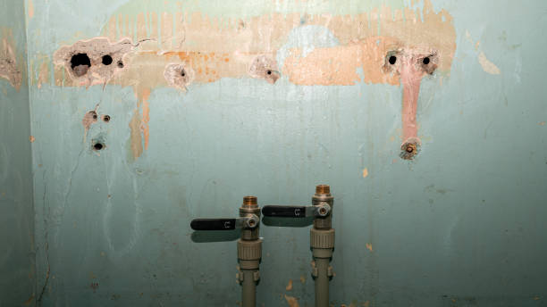 Best Flood restoration services  in Belleville, WI