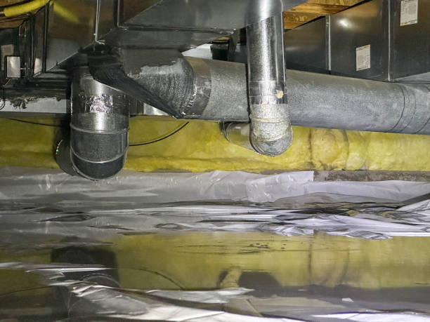 Best Water damage cleanup near me  in Belleville, WI