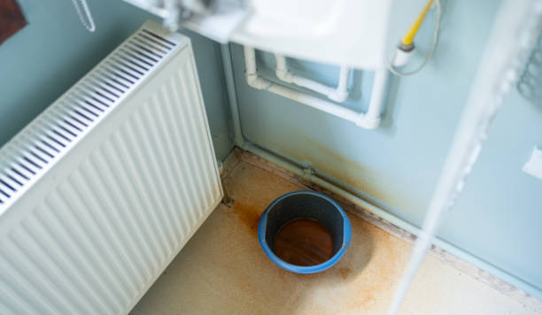 Best Commercial water damage restoration  in Belleville, WI