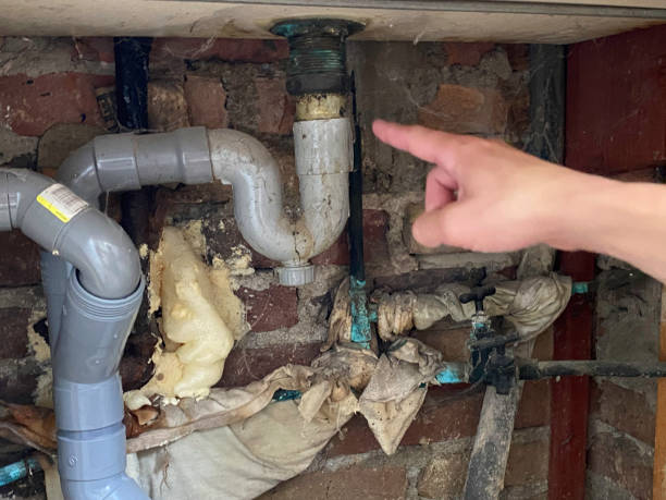  Belleville, WI Water damage restoration Pros
