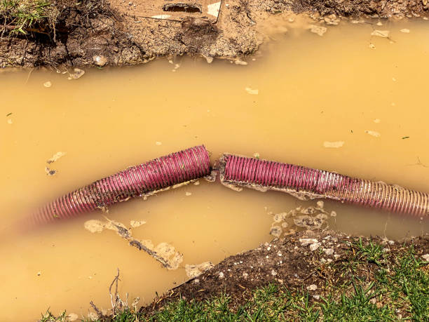 Best Residential water damage restoration  in Belleville, WI