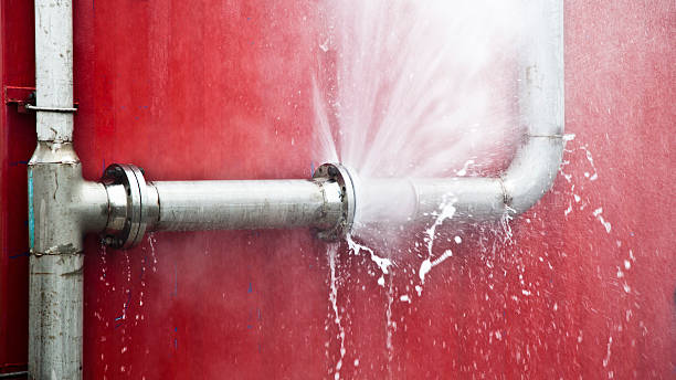 Best Professional water damage repair  in Belleville, WI